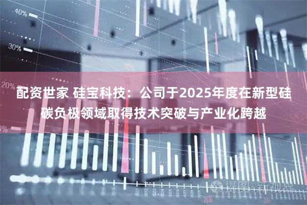 配资世家 硅宝科技：公司于2025年度在新型硅碳负极领域取得技术突破与产业化跨越
