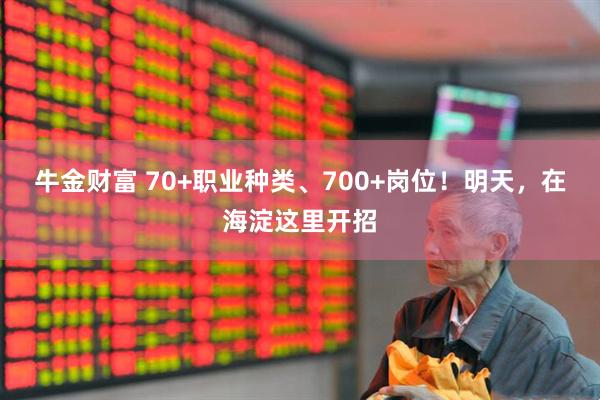 牛金财富 70+职业种类、700+岗位！明天，在海淀这里开招