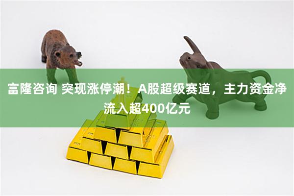 富隆咨询 突现涨停潮！A股超级赛道，主力资金净流入超400亿元